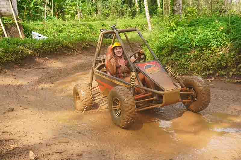 jungle buggy1